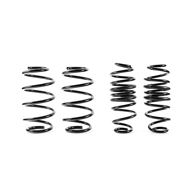 SD Performance springs Fiesta mk8 ST