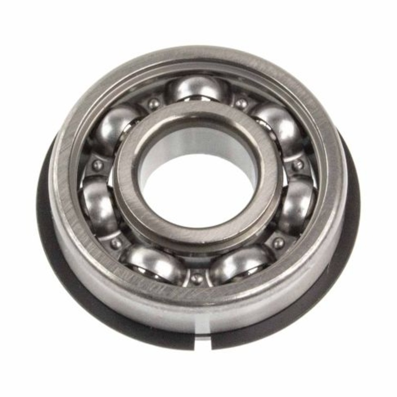 6304N Bearings