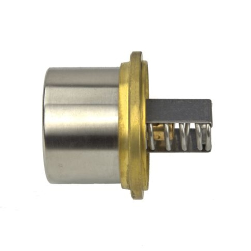 307648900 Engine Coolant Thermostat