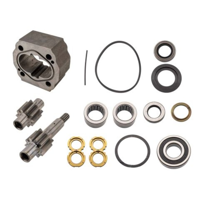 399-1382-520 P51 REBUILD KIT W/2” HSG