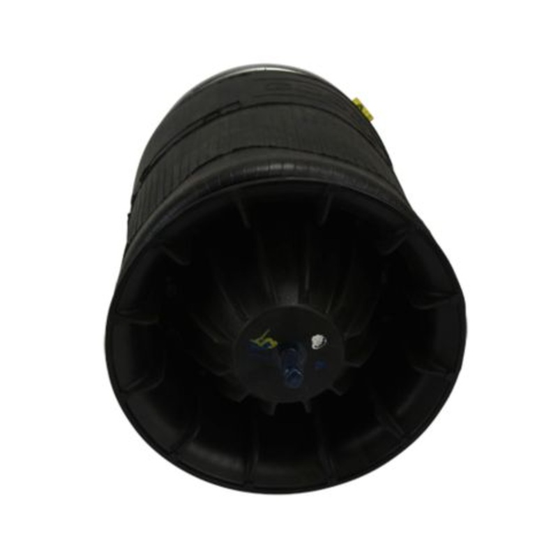 FI W01 358 8829 Air Suspension Spring