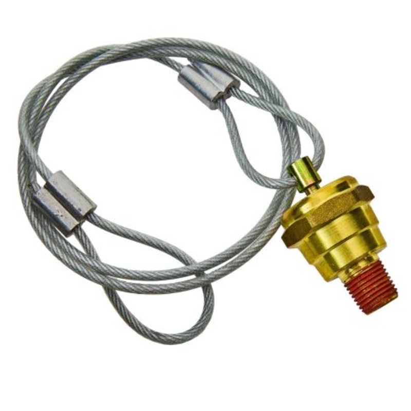 2034669C91 Drain Plug