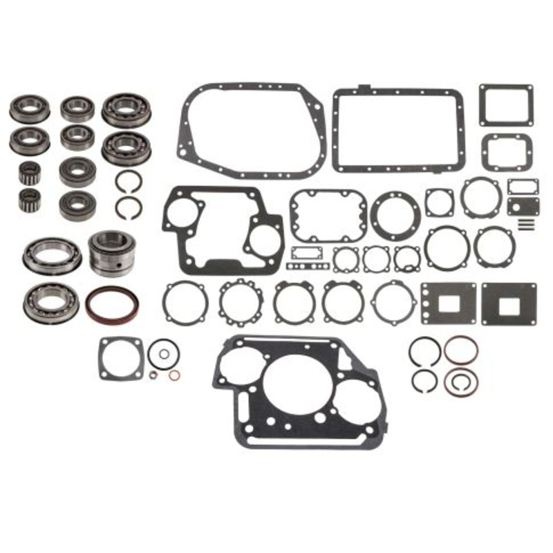 593870C91 Manual Transmission Bearing and Seal Overhaul Kit