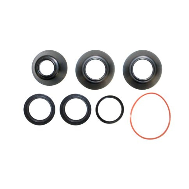 RHS 5542261 Steering Gear Input Shaft Seal Kit