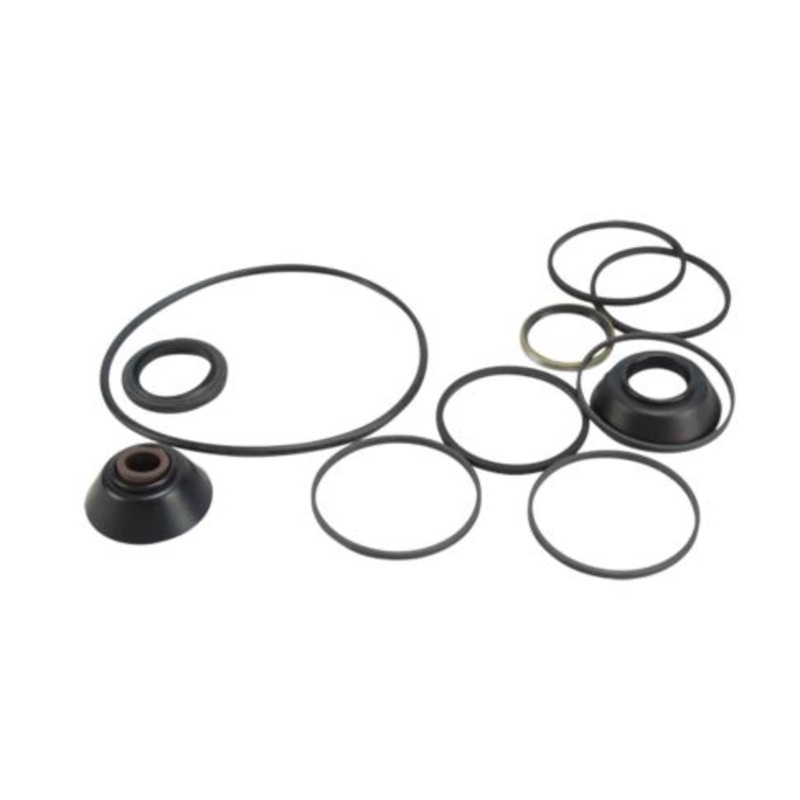 RHS 5541421A Steering Gear Input Shaft Seal Kit