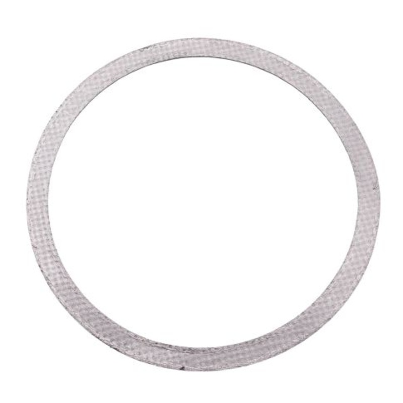 2594129C1 Diesel Particulate Filter (DPF) Gasket