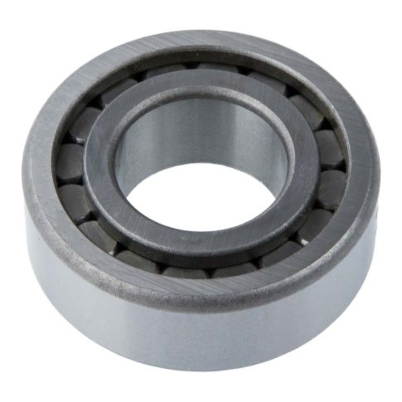 E8TZ7065A Manual Transmission Countershaft Bearing