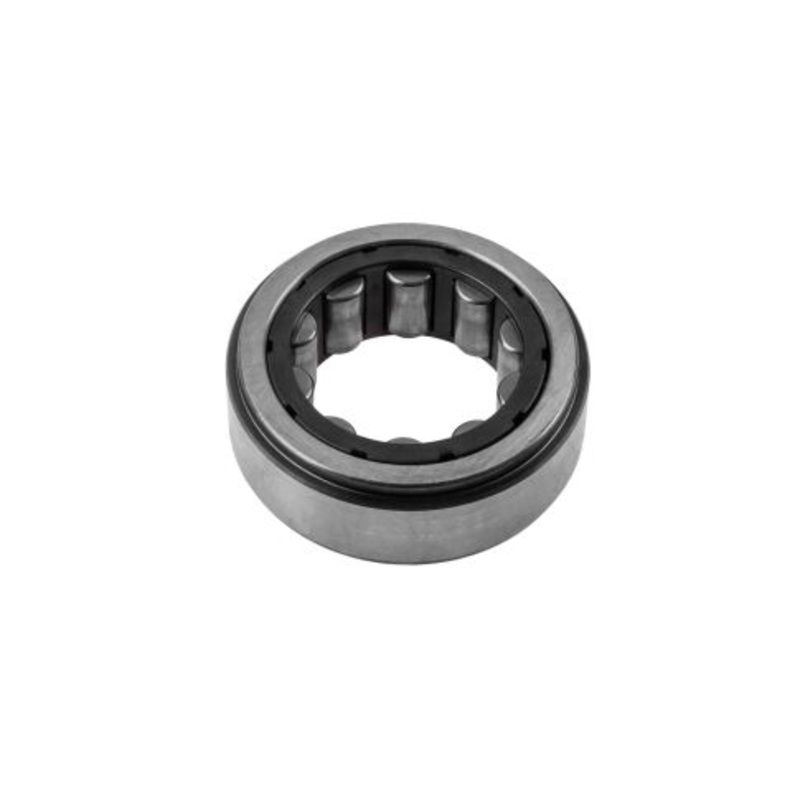 RNU070620-1 Bearings