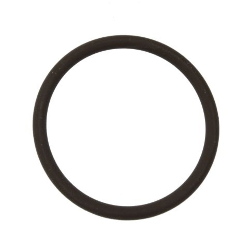 15569 O-RING