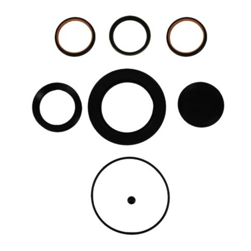 RHS 5544871 Steering Gear Sector Shaft Seal Kit