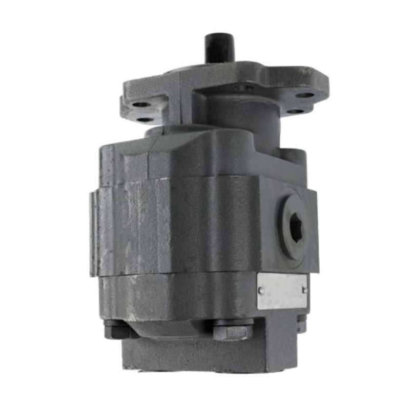 313-9610-769 Hydraulic Pump