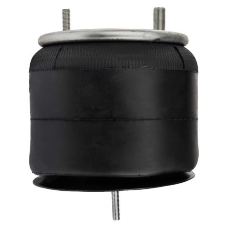 FI W01 358 9807 Air Suspension Spring