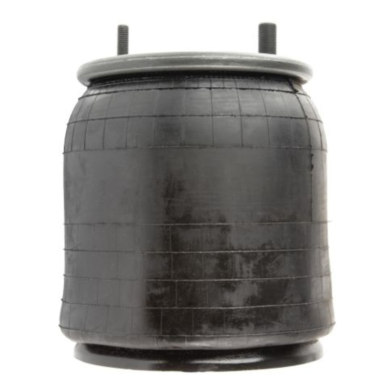 W01-358-9098 Air Suspension Spring