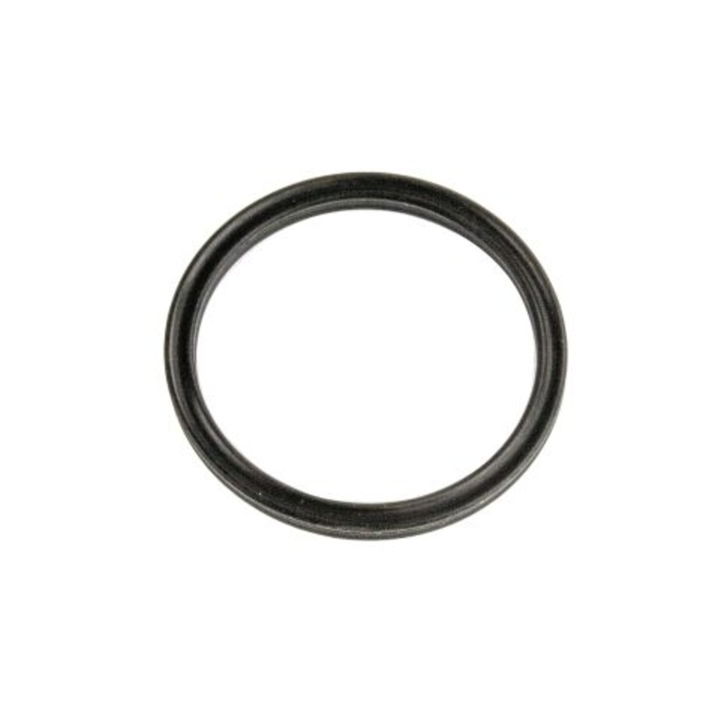 TDA1205N430 Brake Cam Seal