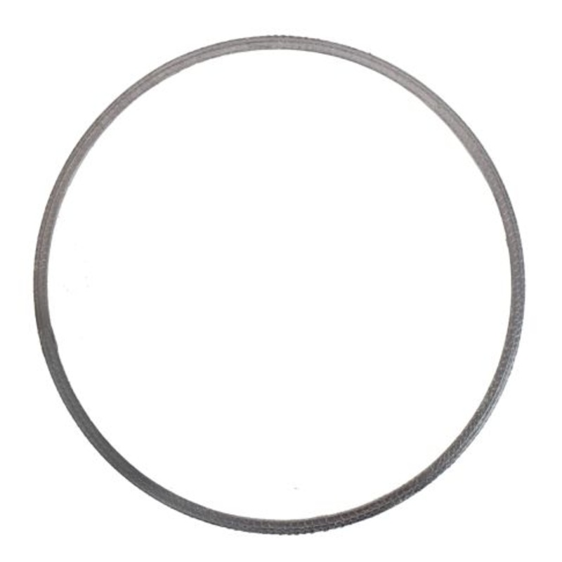 2520183C1 Diesel Particulate Filter (DPF) Gasket