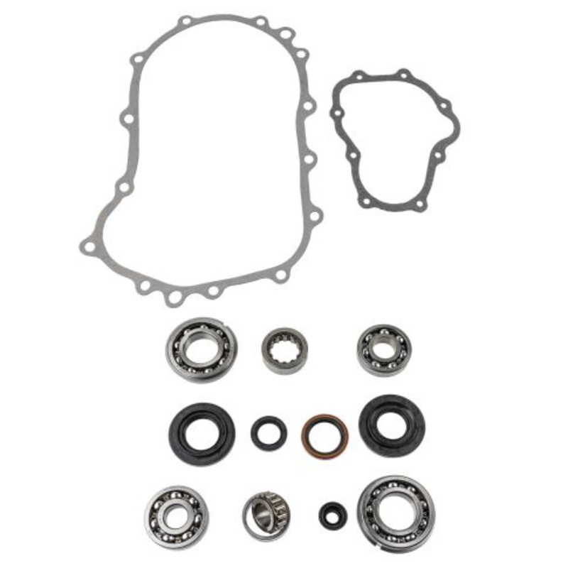 BK252 Manual Transmission Bearing and Seal Overhaul Kit