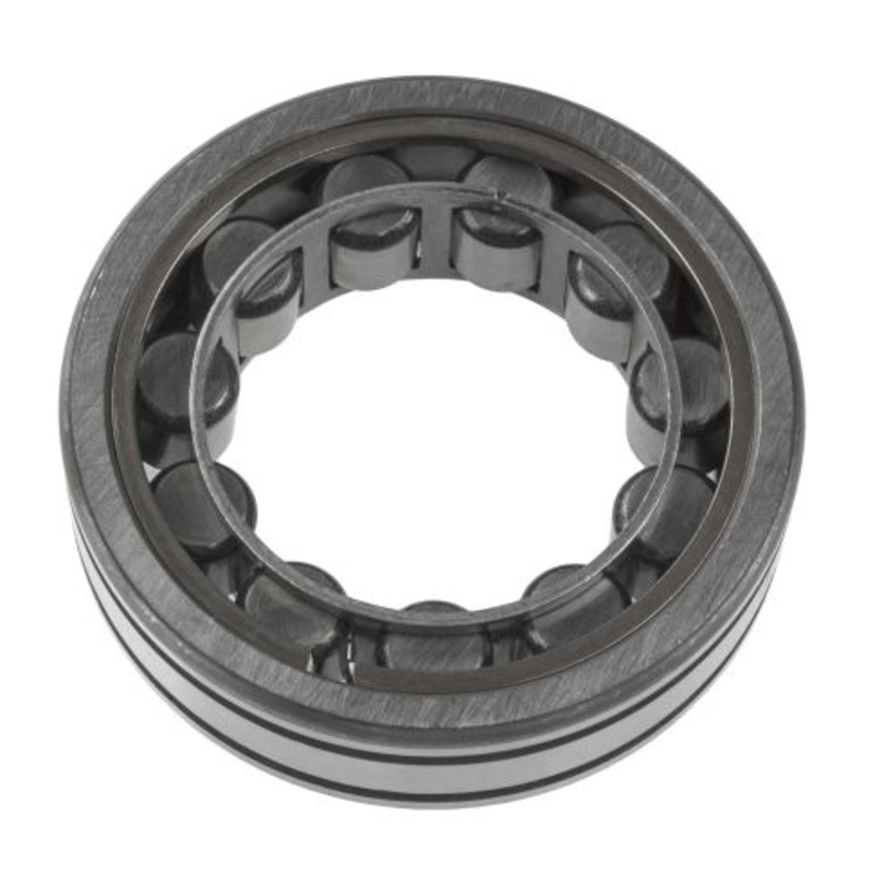 M1305GTV Bearings