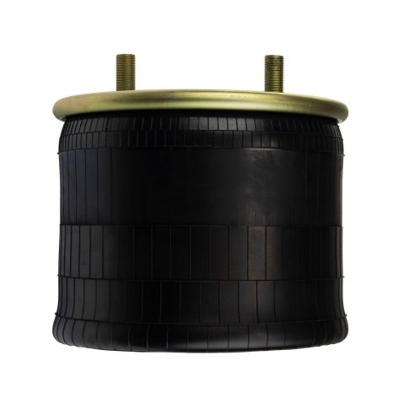 FI W01 358 8091 Air Suspension Spring