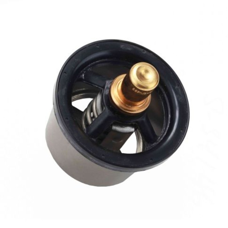 2124041 Engine Coolant Thermostat
