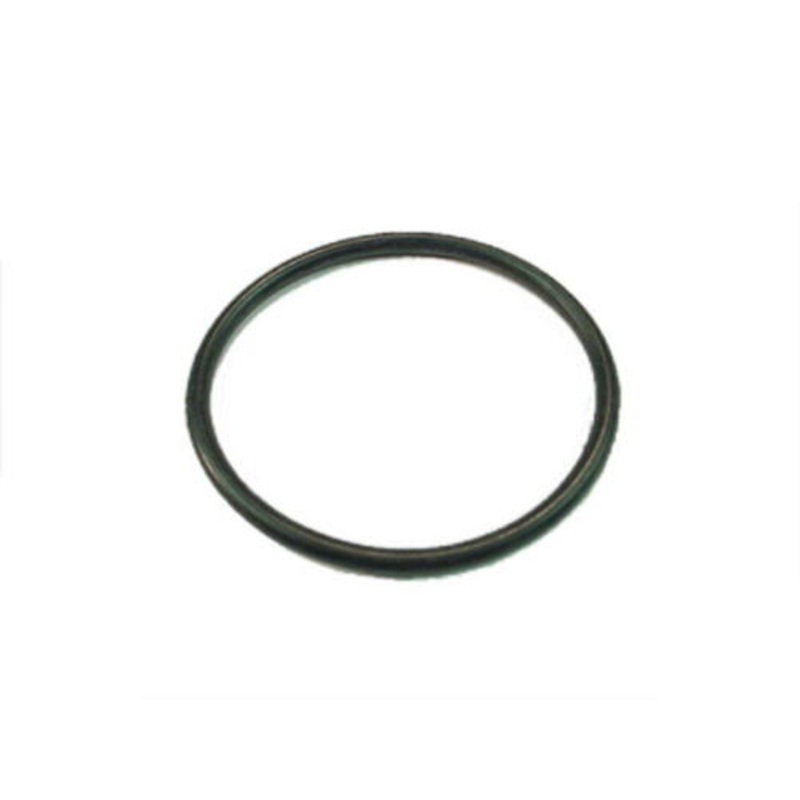 Fuel Sender O-Ring