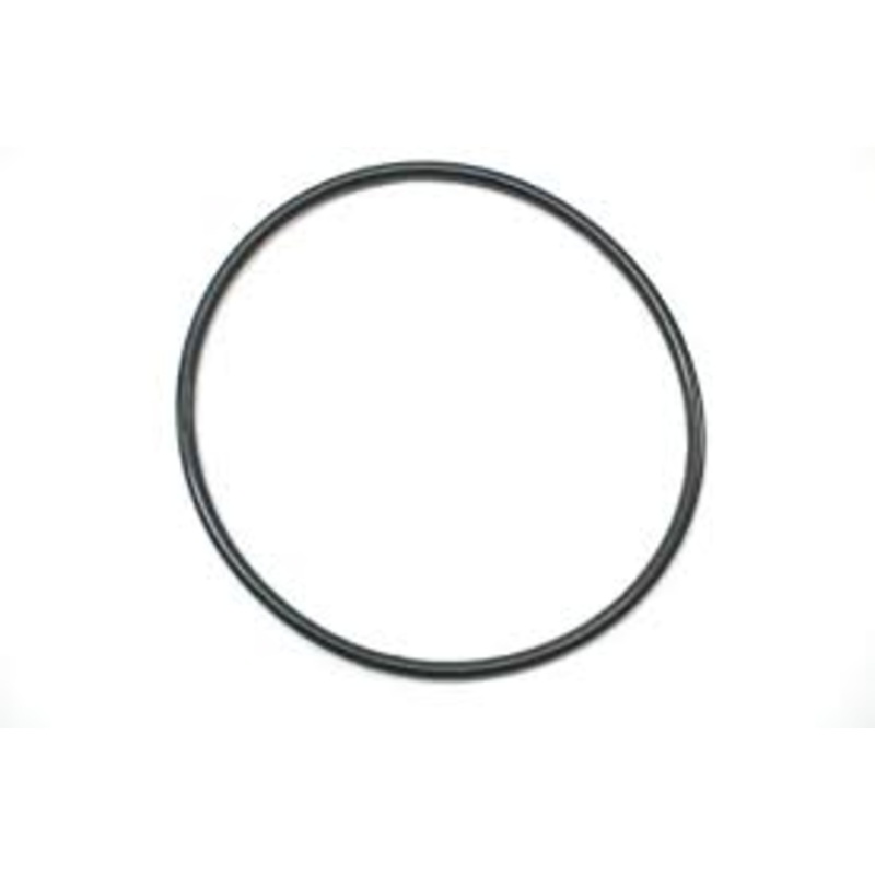 Rear Axle Housing O-Ring; Swing Axle