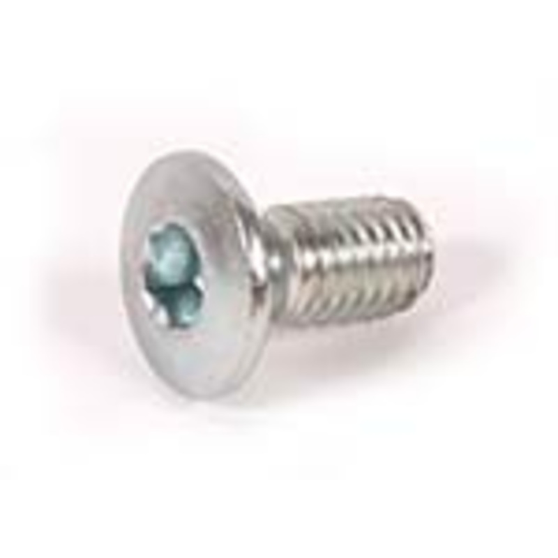 Hinge Screw, Allen-Style, 68-75 II