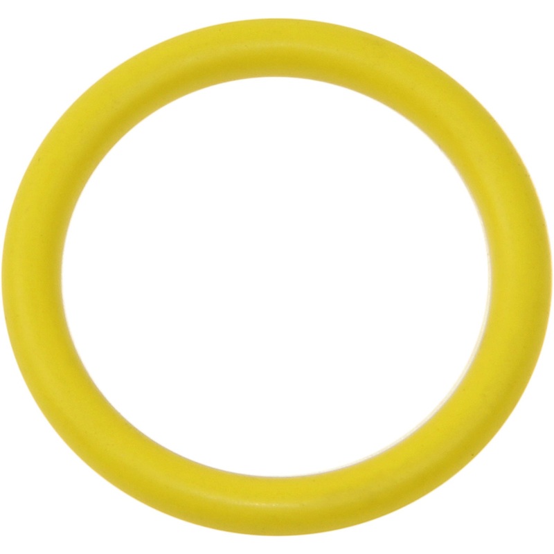 Water Pump to Pipe O-Ring, 1.9L