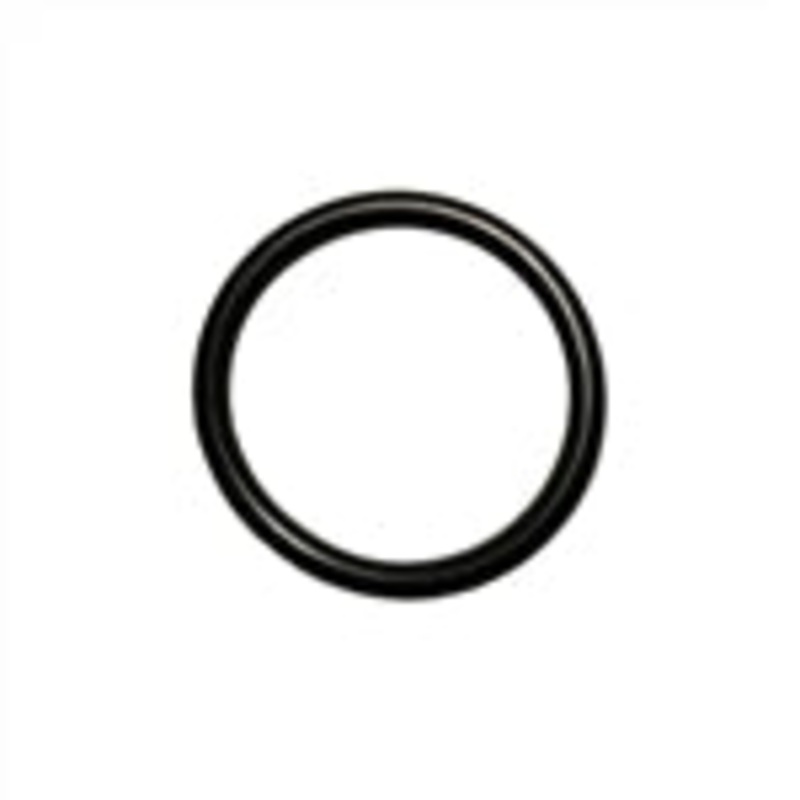 Crankshaft Pulley O-Ring
