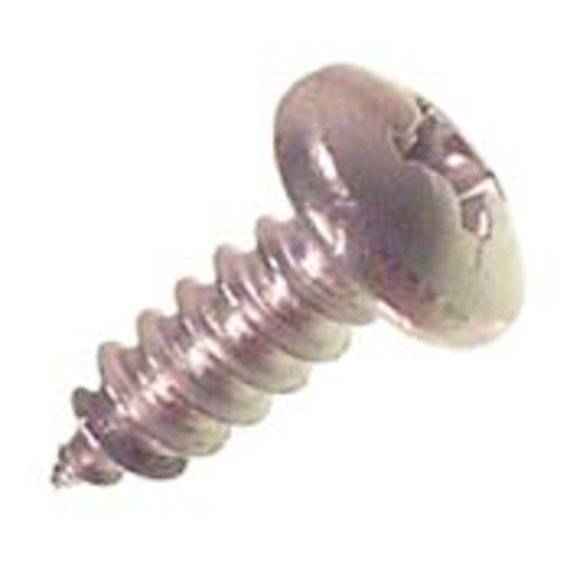 Deluxe Bumper Molding Screw; 55-67 II