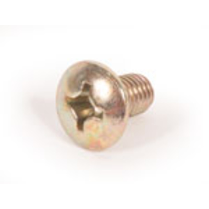 Door Hinge Screw -79 I