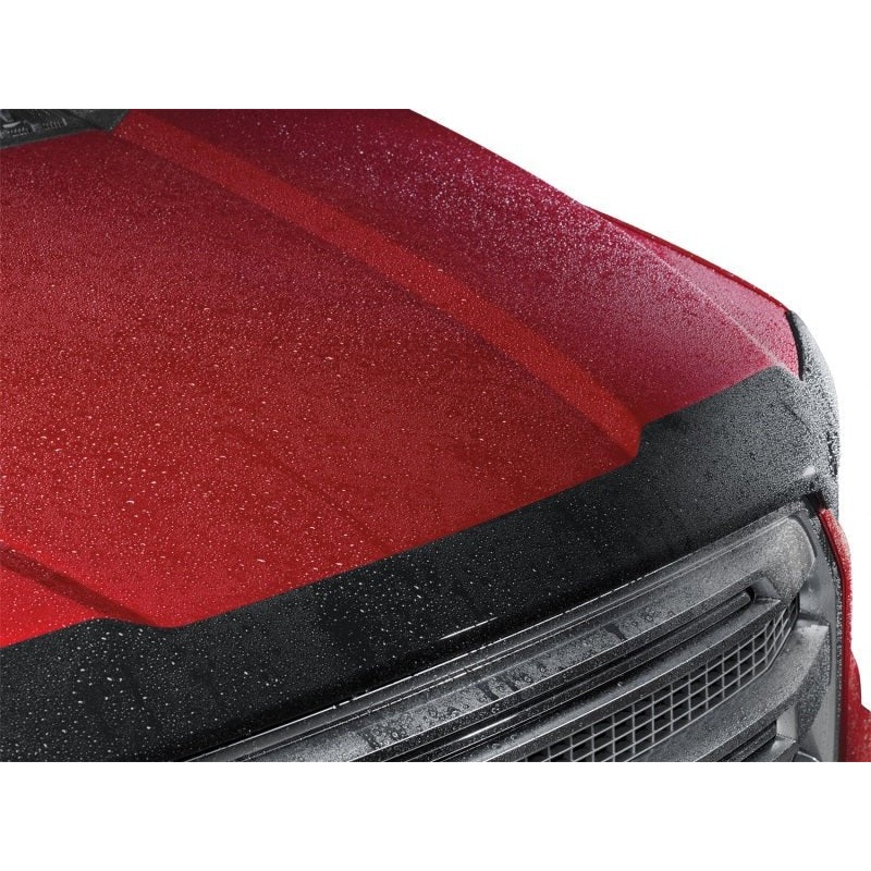 WeatherTech 19-21 Kia Forte (Hatchback/Sedan) Hood Skin Protector – Dark Smoke