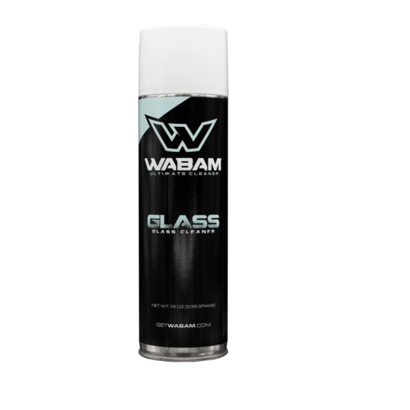 Glass Cleaner 19oz Can