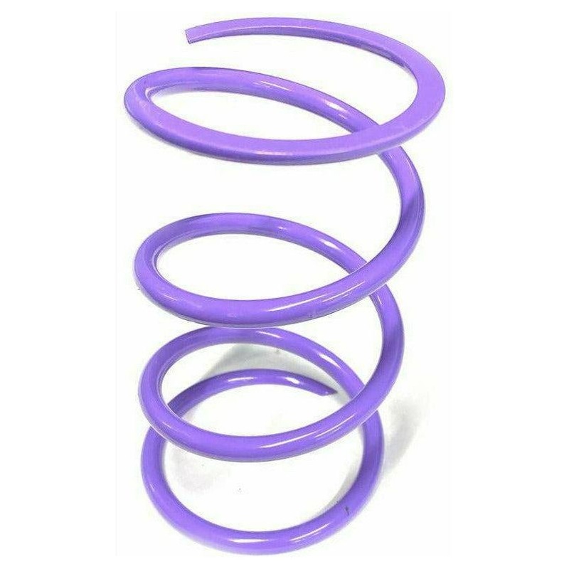 Polaris RZR Turbo Secondary Springs Teal (softest spring)
