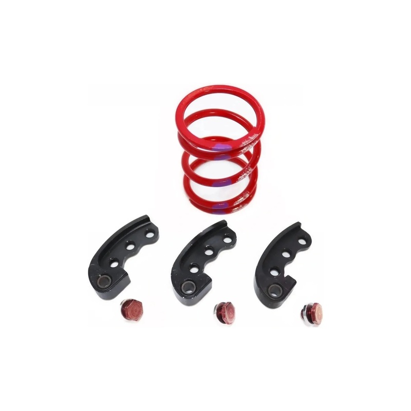 Polaris RZR 570 Stage 1 Clutch Kit