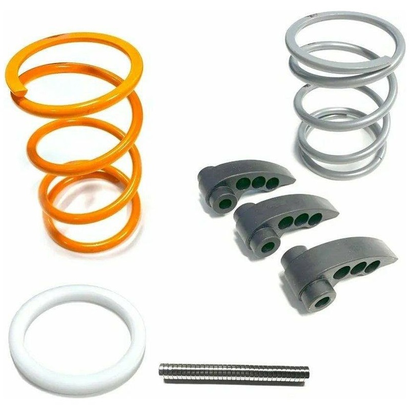 Polaris RZR Pro R Performance Stage 2 Clutch Kit No Clutch Cover
