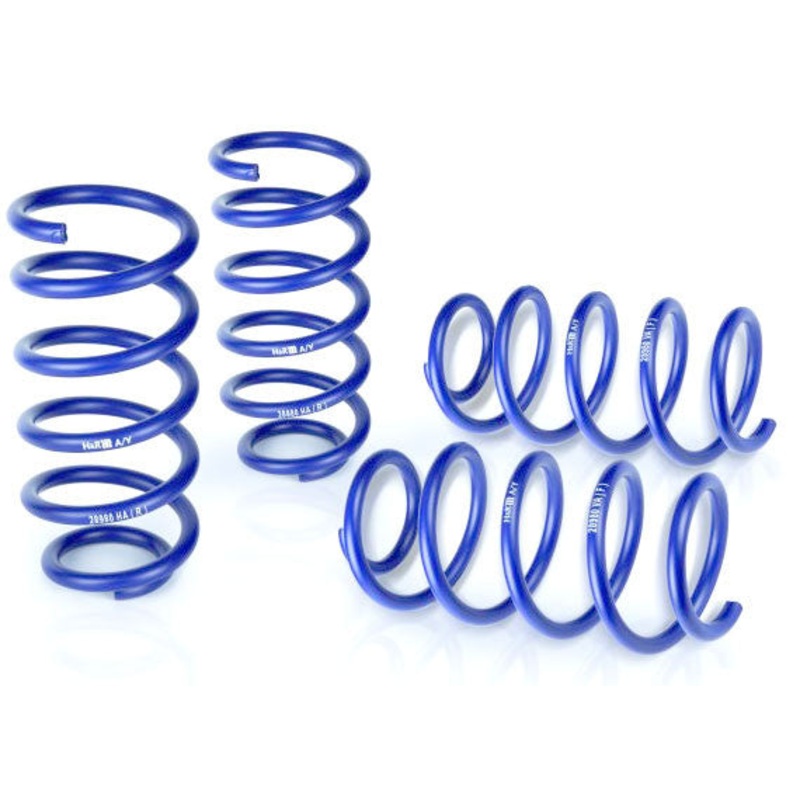 H&R lowering springs Fiesta ST180