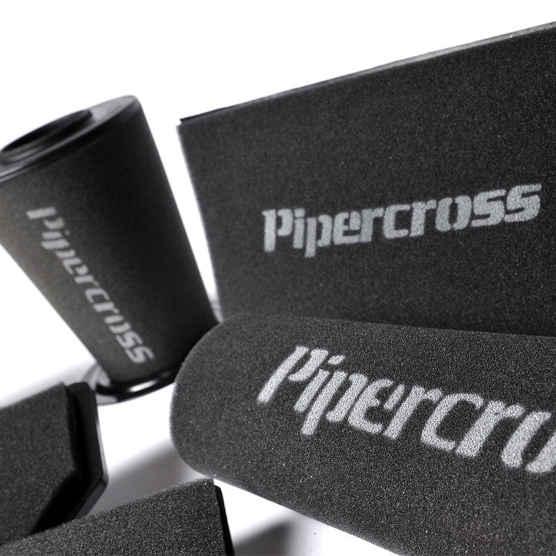 Citroen AX 1.4 GTI panel filter Panel Filter