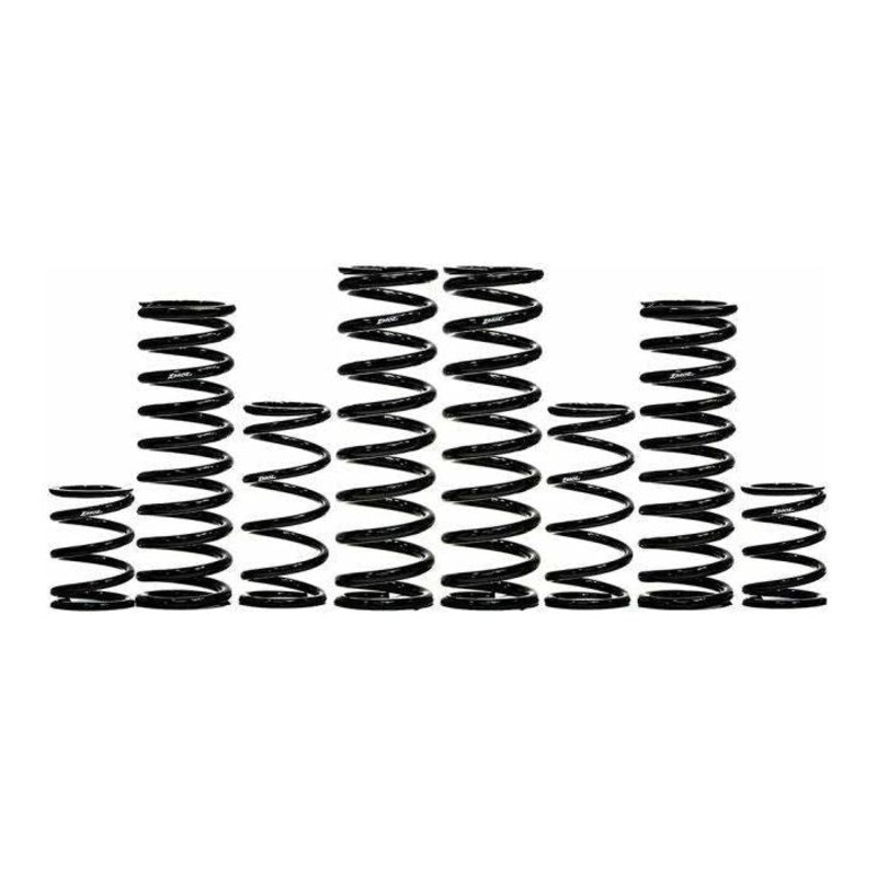 Can Am X3 MAX 72″ 2.5″ Stage 1 Spring Kit