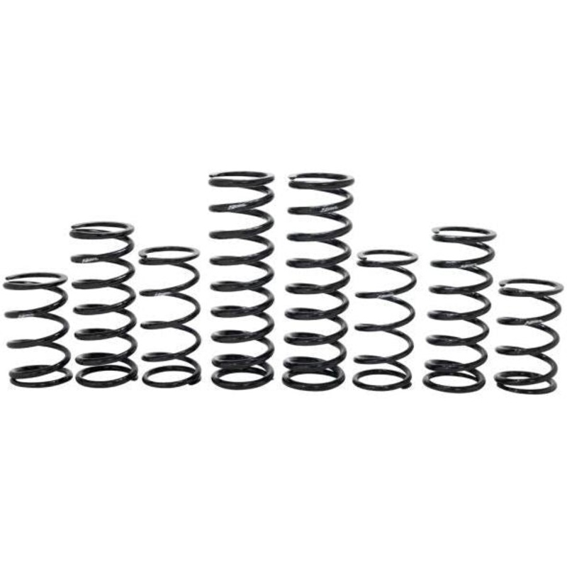 Polaris RZR Turbo R Walker Evans Stage 1 Spring Kit
